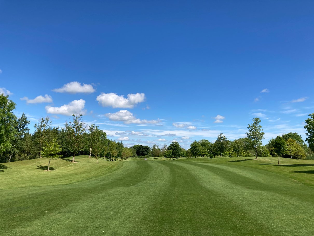 Green Grass Field Under a Blue Sky